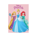Couverture polaire PRINCESSES DISNEY