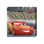 20 serviettes à jeter CARS