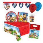Pack XL PATPATROUILLE pour 12/16 enfants