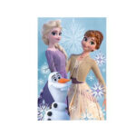 Couverture polaire REINE DES NEIGES 2