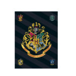 Couverture polaire HARRY POTTER