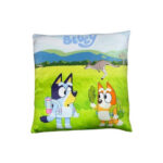 Coussin BLUEY (38x38)