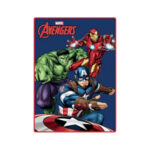 Couverture polaire AVENGERS