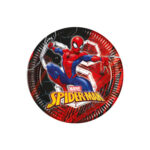 8 assiettes à jeter SPIDERMAN World of Webs (23cm)