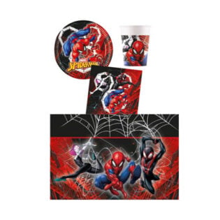 Pack S SPIDERMAN World of Webs pour 8 enfants