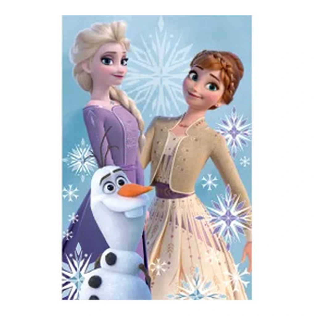 Couverture polaire REINE DES NEIGES 2